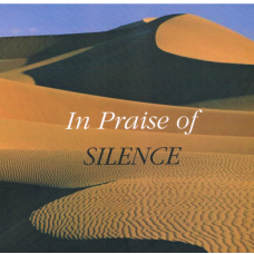 In Praise of Silence